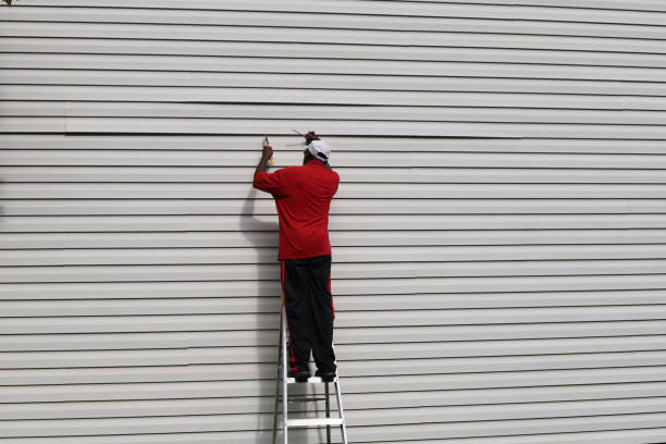 Best Fascia and Soffit Installation  in Maryland Heights, MO