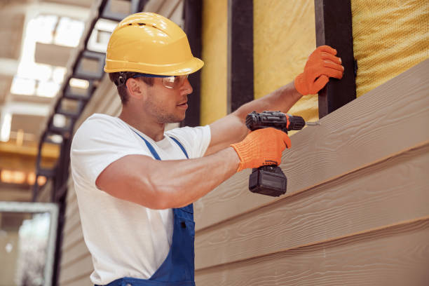 Best Siding Painting and Refinishing  in Maryland Heights, MO